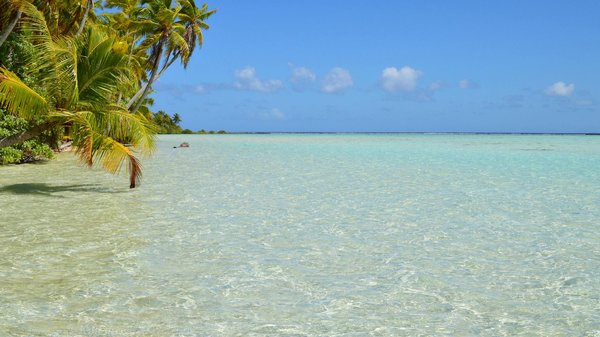 Pros And Cons Of FC188 Cassino  English-language market Join Now