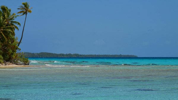 $10 No Deposit Bonus Australia · English-speaking countries Start Playing