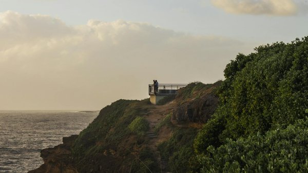 Tableau Parier Sur Et Vivant Marchand Alternative • France Spin & Win